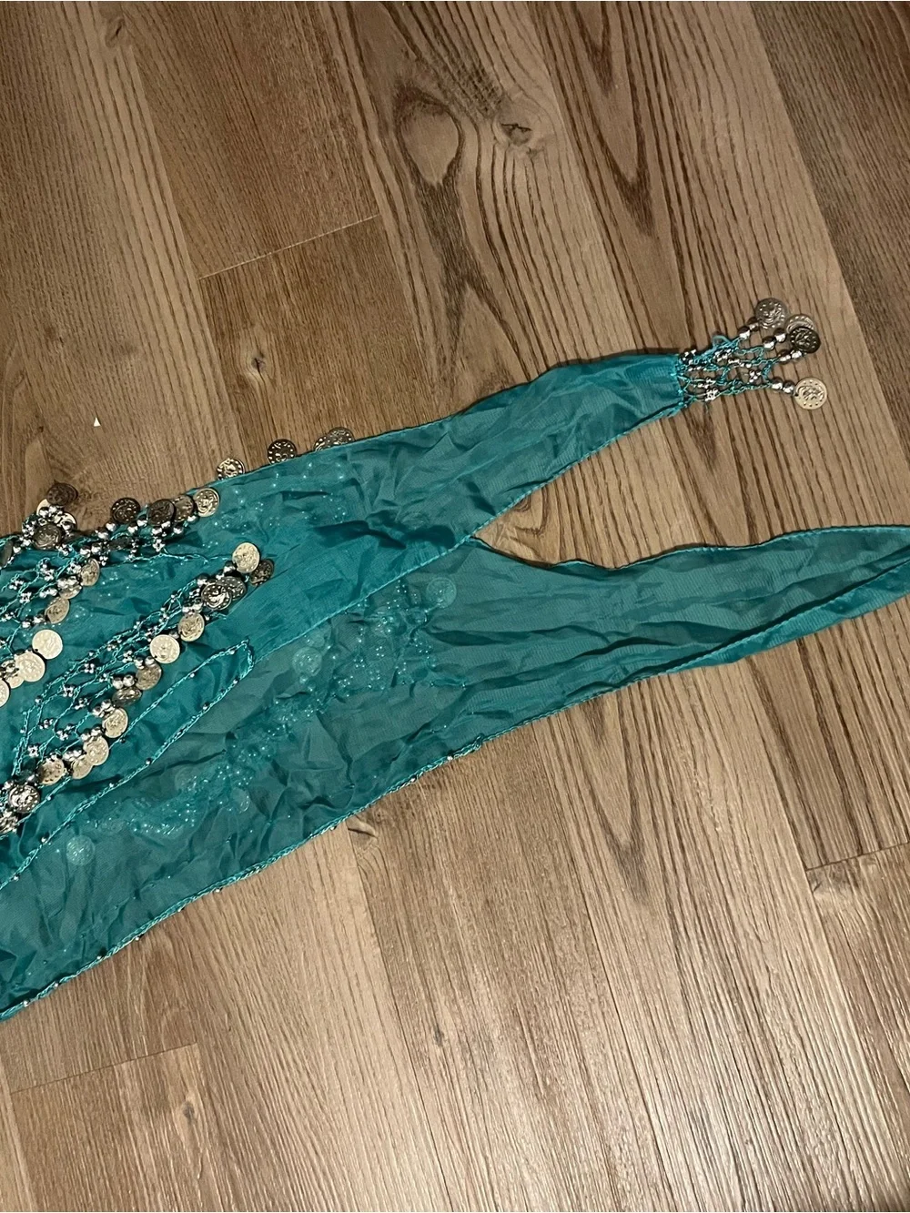 Teal Coin Fringe Belly Dance Hip Scarf